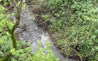 The Water Cycle, Part 2 of 3: A Land Manager’s View of Water