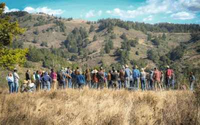 Gathering for Action: It’s been a busy year!