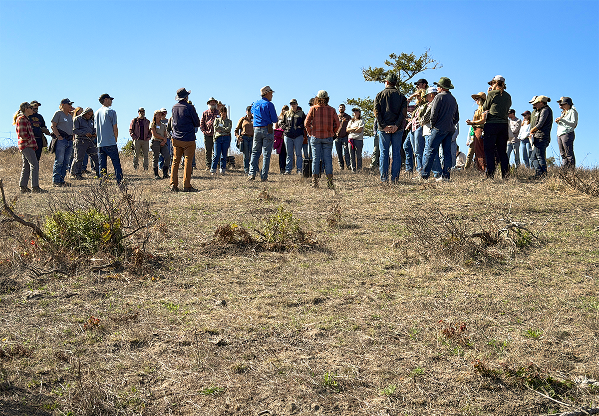 During the Central Coast Rangeland Coalition Meeting on shrub control held at TomKat Ranch, Mark Biaggi, the Ranch Manager, explains to attendees the challenges and outcomes of a previous prescribed fire.