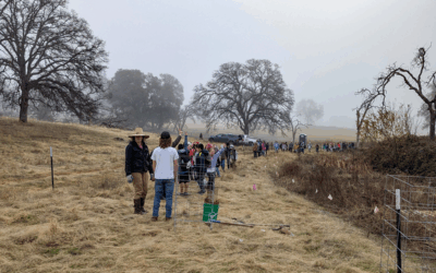 The Roots Program: Connecting People Through Wildlife Habitat Restoration on Working Landscapes