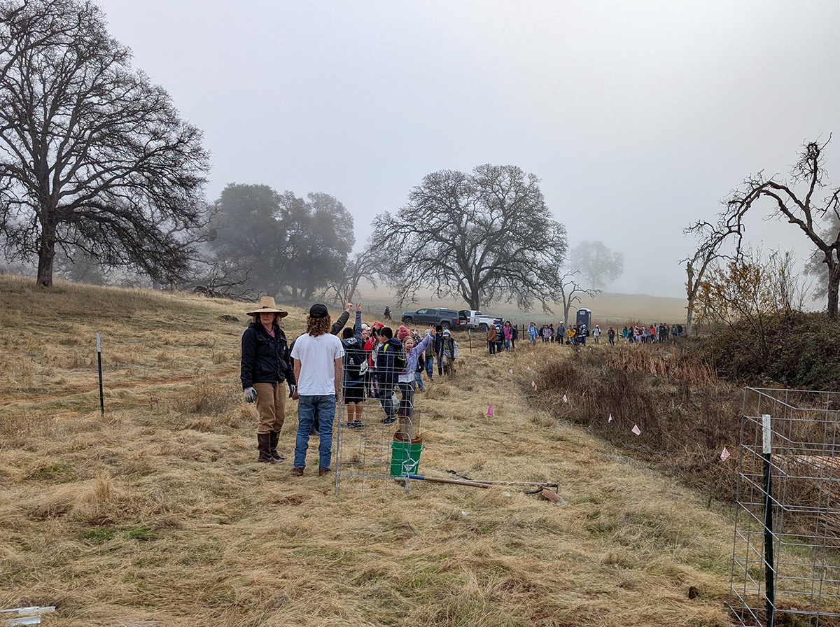 Students head into the field as part of Point Blue’s STRAW Team at a riparian restoration in Nevada County.