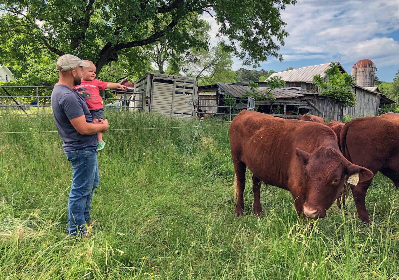 Jake Tommerdahl and his son checking out Jimmy Acres Farm cattle