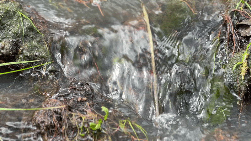 Water trickling in a small stream.
