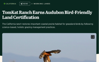 Audubon website-TomKat Ranch Earns Audubon Bird-Friendly Land Certification