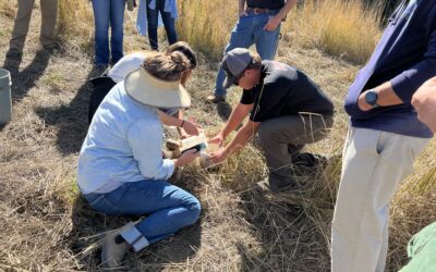 Attendees at a TKREF workshop learn how to do water infiltration tests.