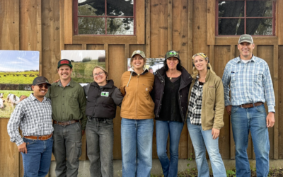 Seeing the Land Differently: A Season of Regenerative Thinking, On and Off the Ranch