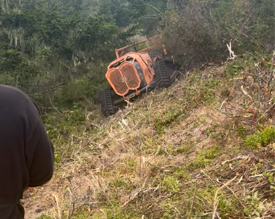 Using a remote-controlled masticator to cut lines in heavy brush to facilitate targeted goat grazing at TomKat Ranch. Now the shepherds can more easily build storm shelters and fence off high-density paddocks for best brush grazing.